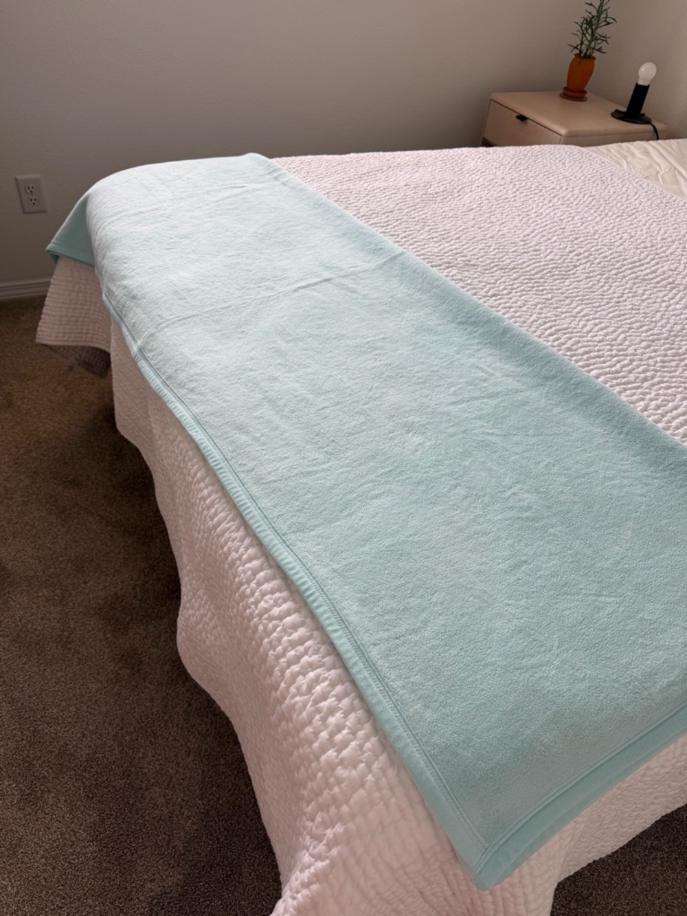 Garnet Hill German Cotton Fleece Throw in Aqua